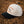 “That Dog’ll Hunt” 5-Panel Hat
